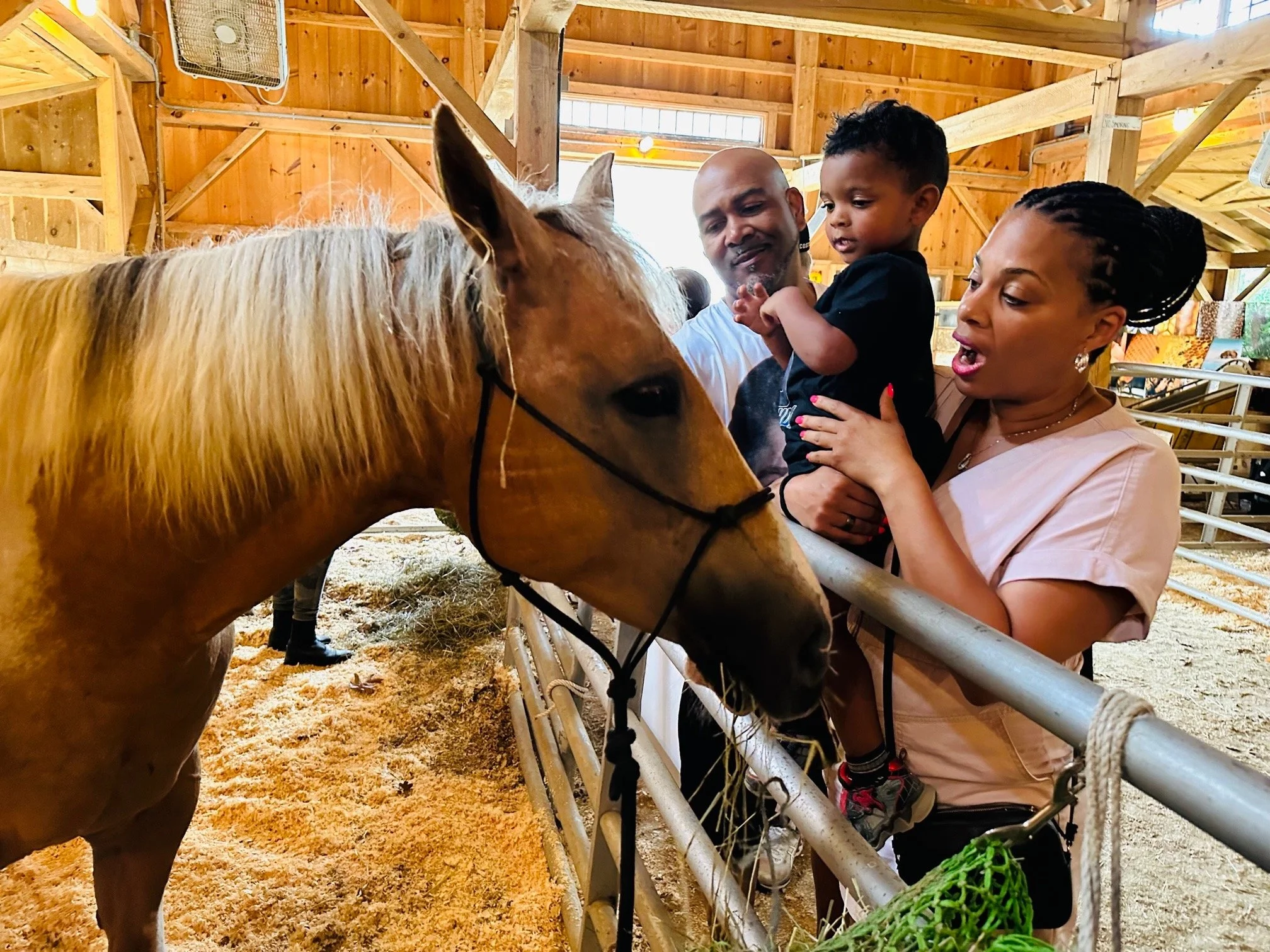 The Martha's Vineyard Agricultural Society